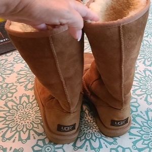 Ugg basic boots